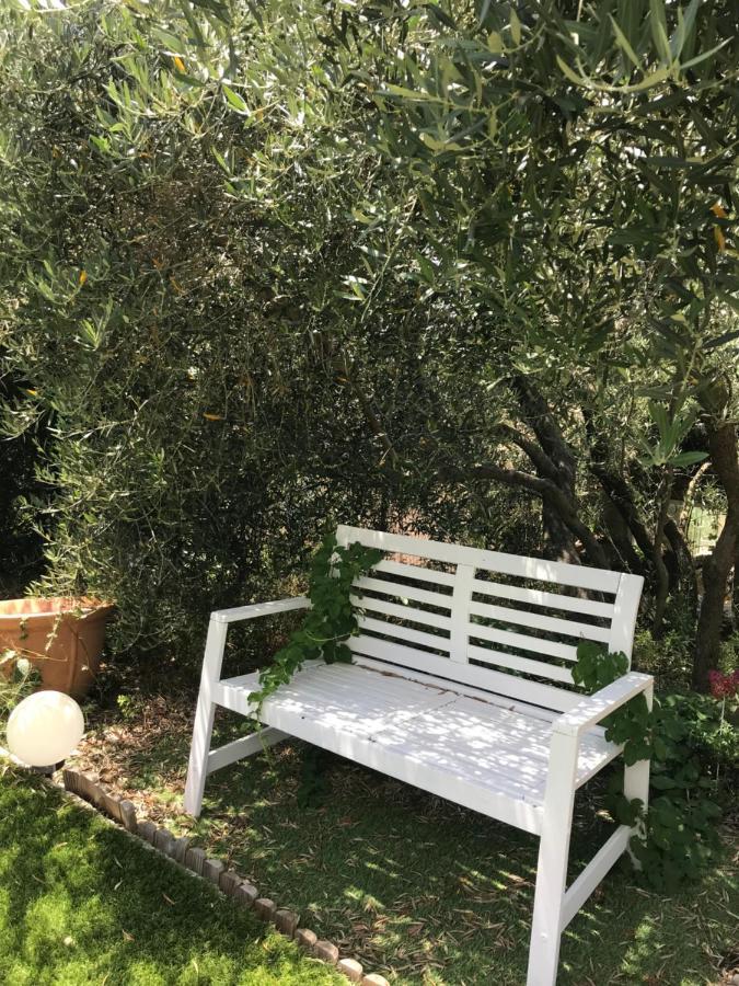 Chambre D Hotes Au Coeur Des Oliviers Marsylia Zewnętrze zdjęcie